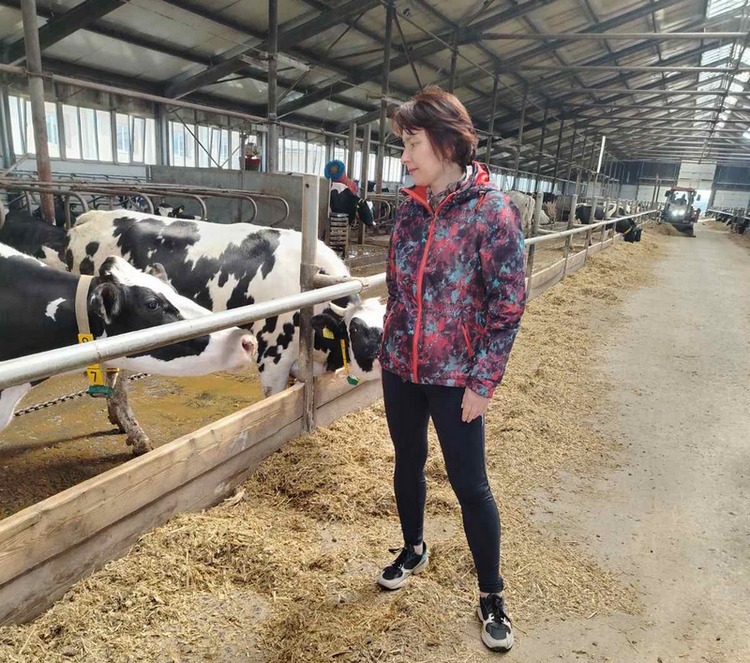 Консультативная помощь