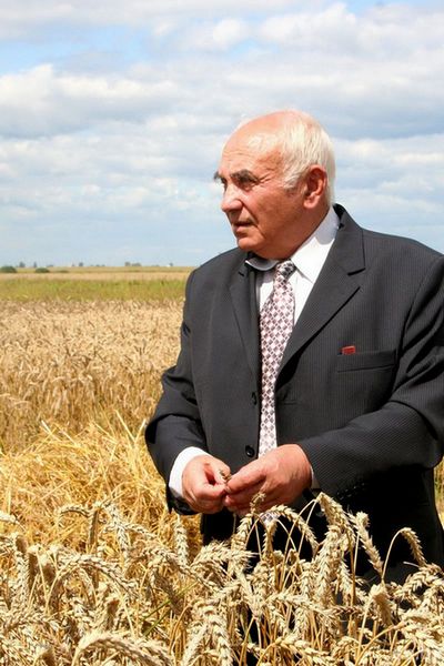 О нас пишут