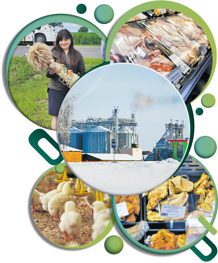 О нас пишут