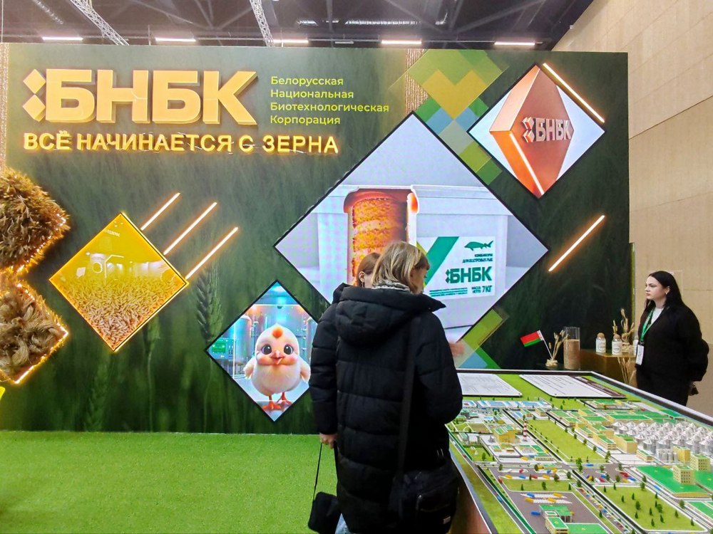 Моя Беларусь