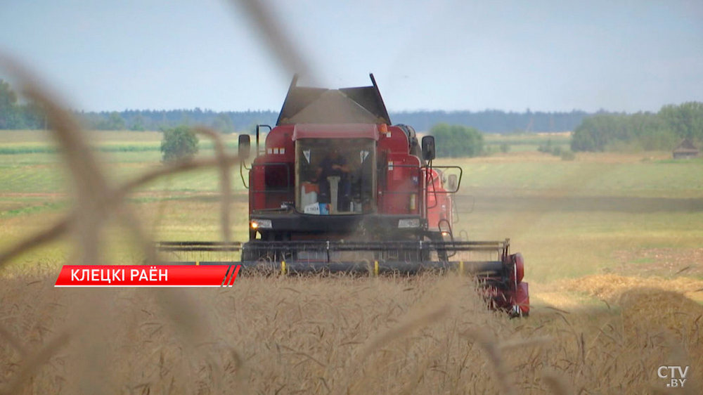 О нас пишут