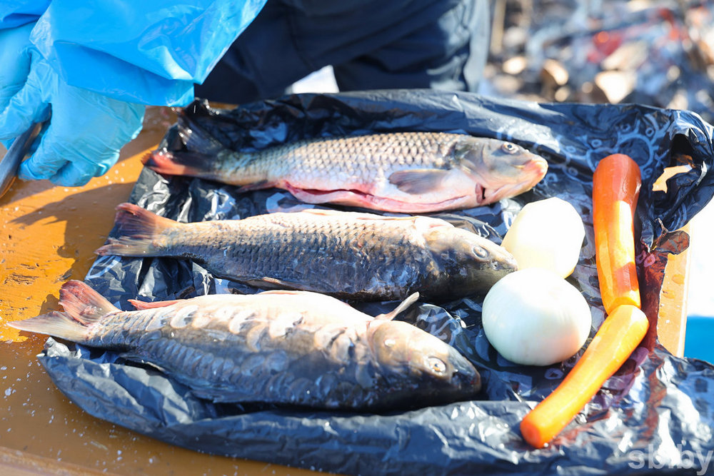 О нас пишут