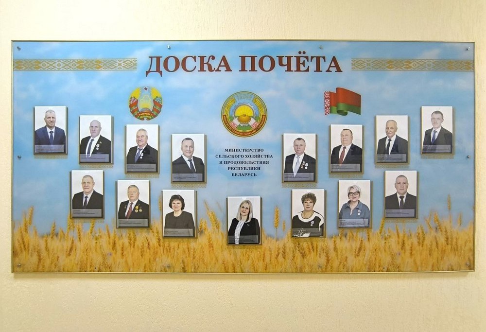 О нас пишут