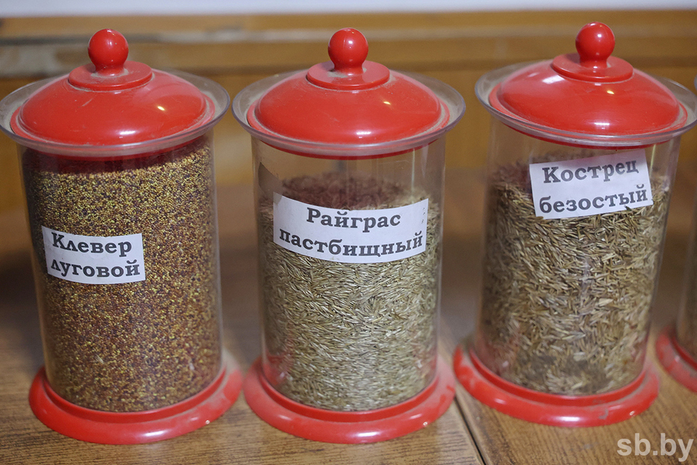 О нас пишут