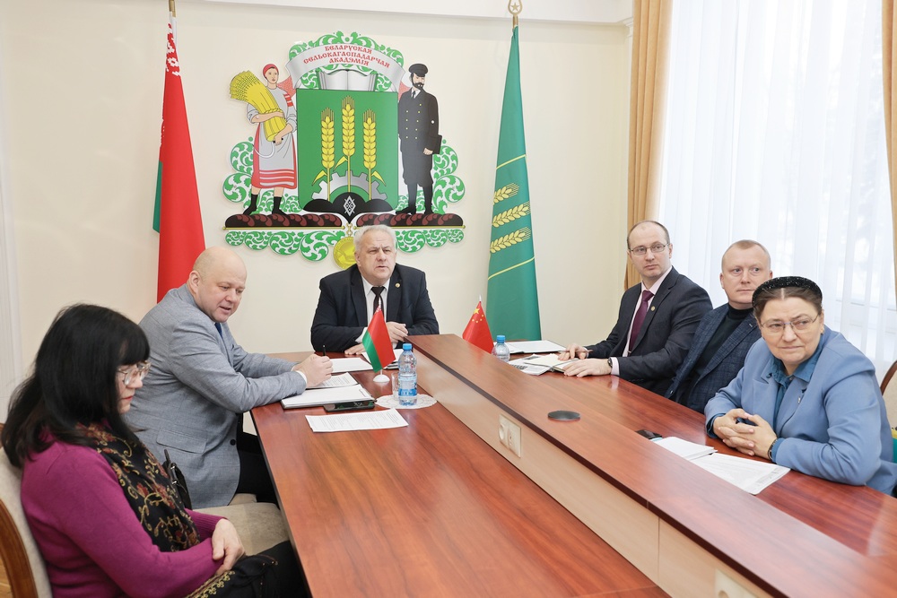 Динамичное сотрудничество