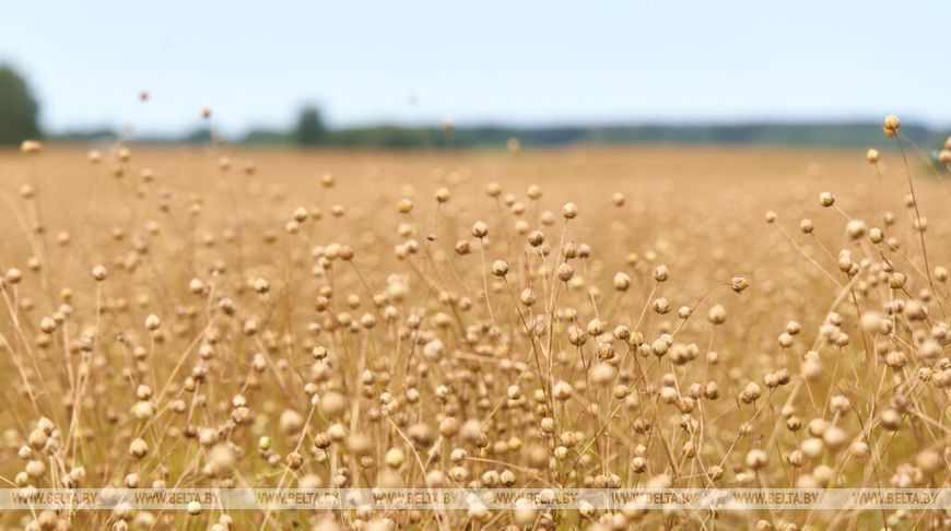 О нас пишут