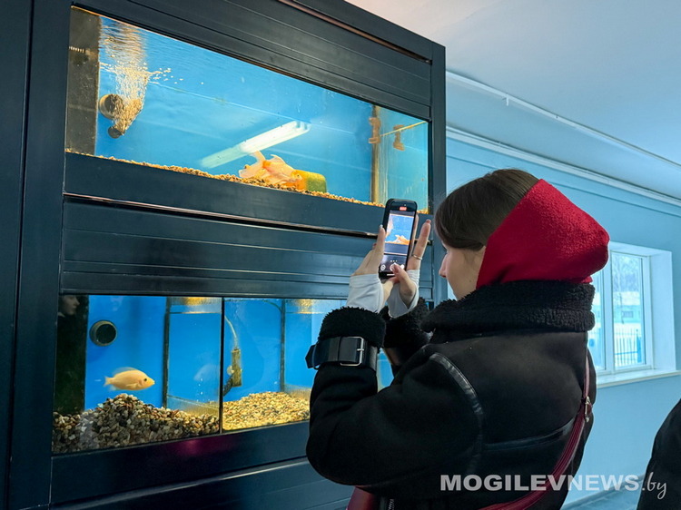 О нас пишут