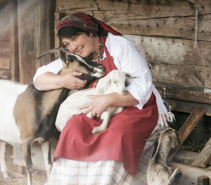 О нас пишут