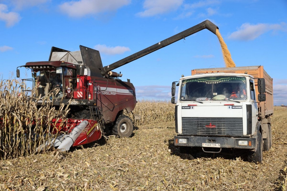 О нас пишут