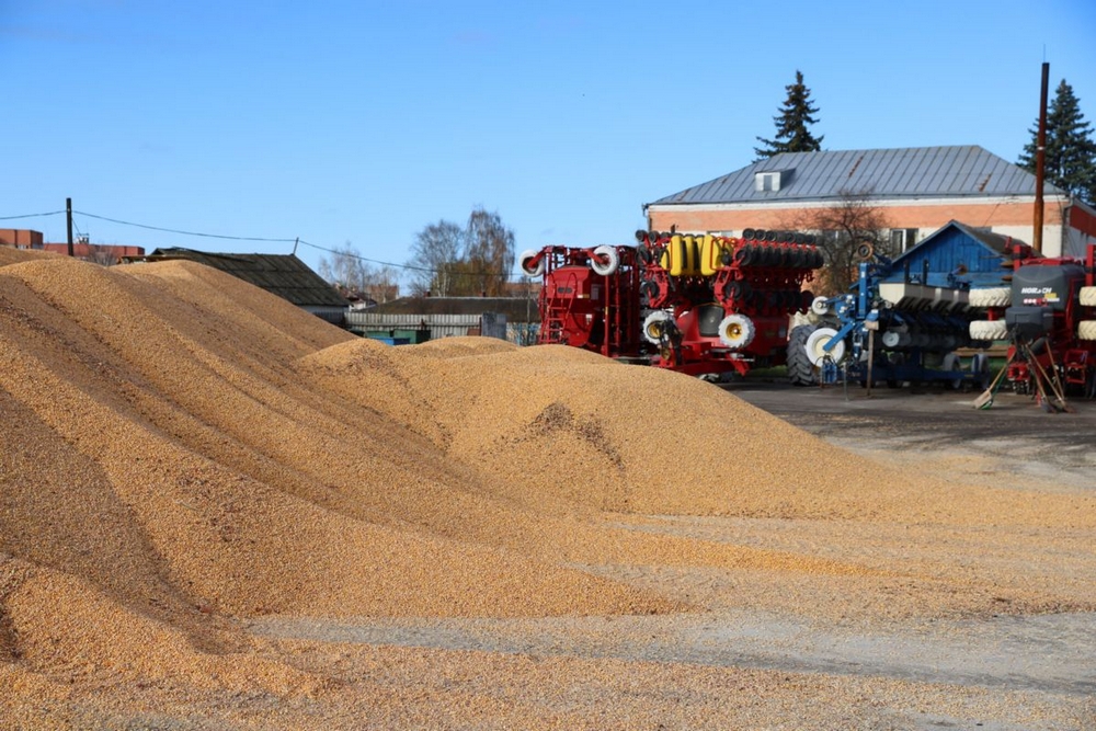 О нас пишут