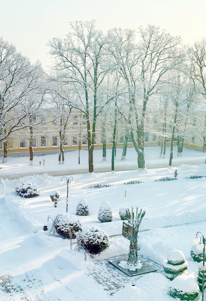 Академгорок – в порядке