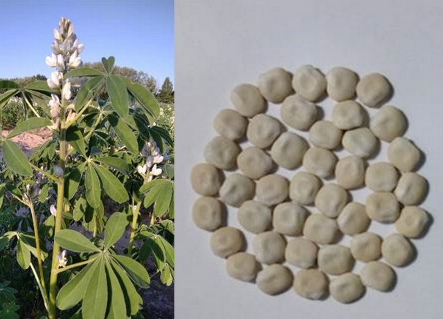 Результаты