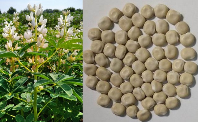 Результаты