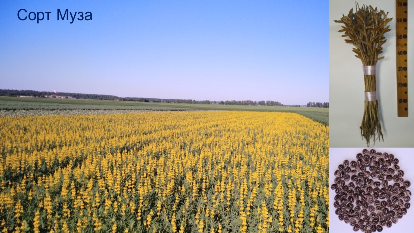 Результаты