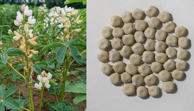 Результаты