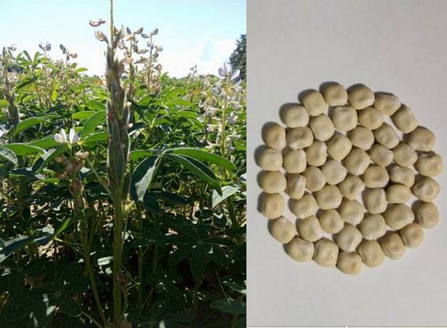 Результаты