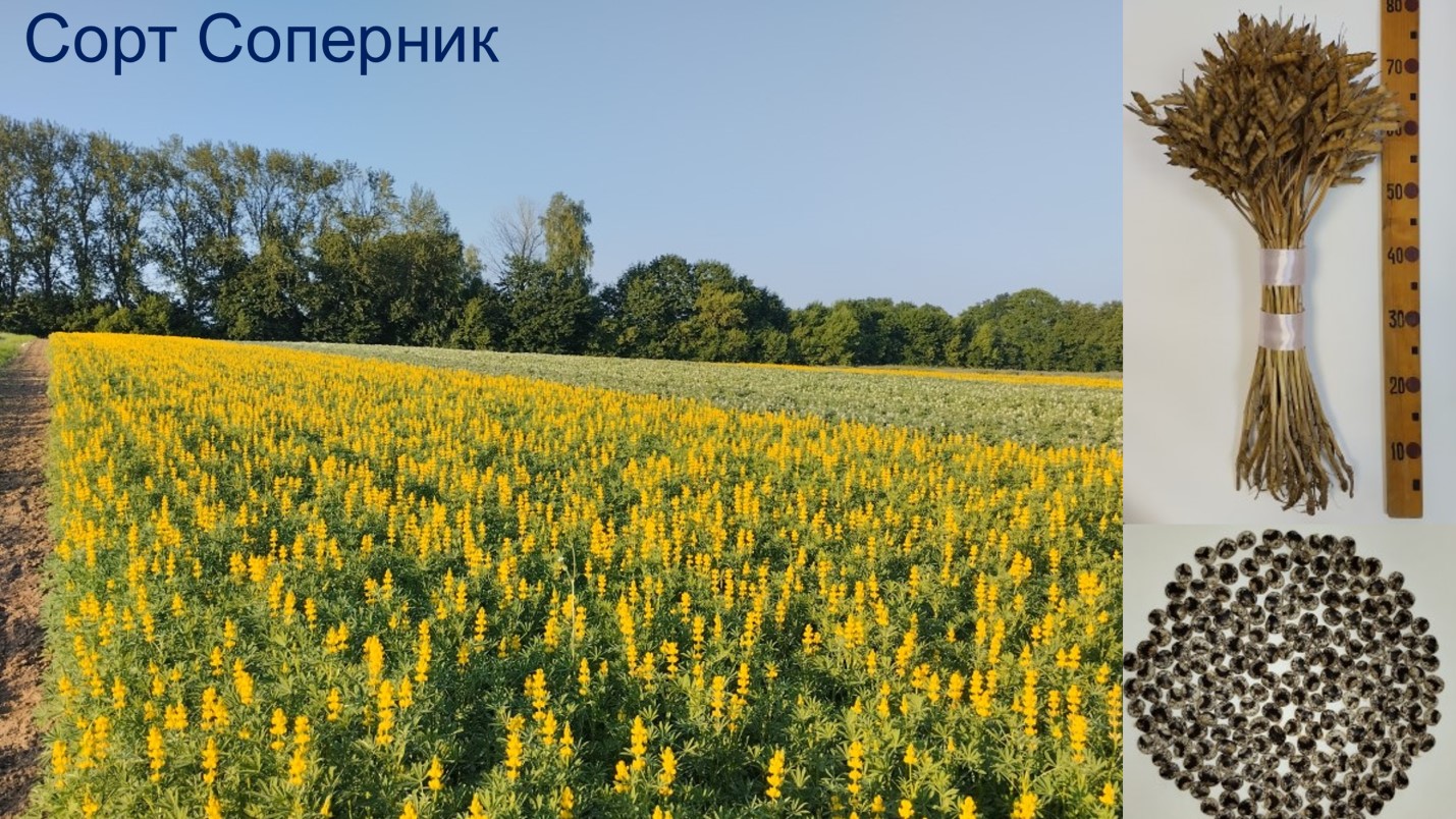 Результаты