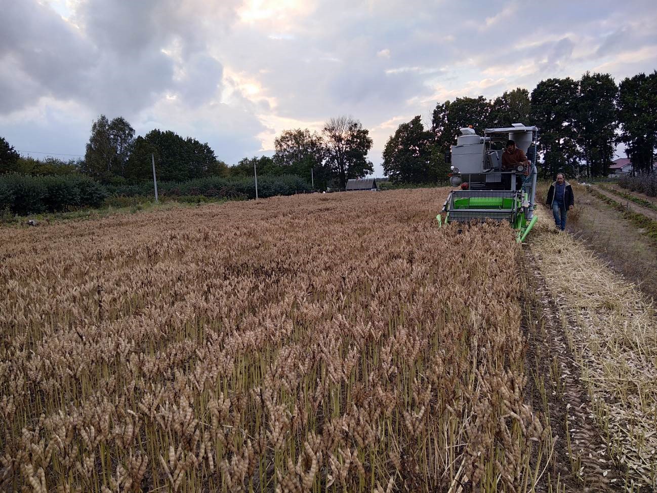 Результаты