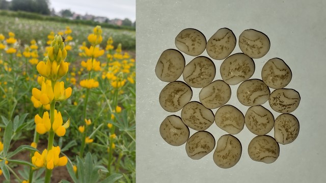 Результаты