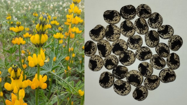 Результаты