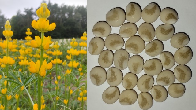 Результаты