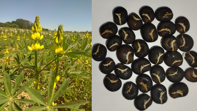 Результаты