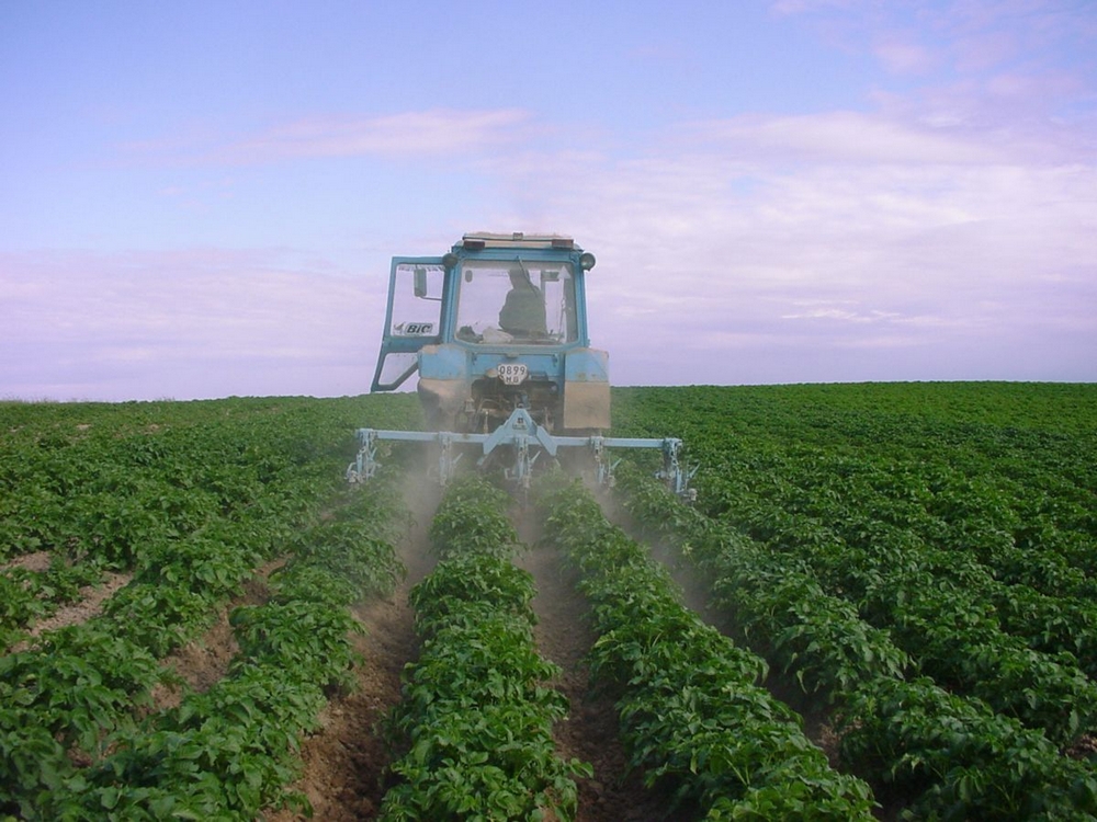 о нас пишут