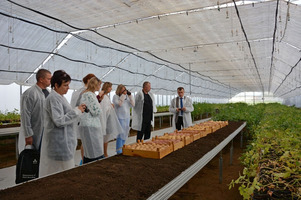 о нас пишут