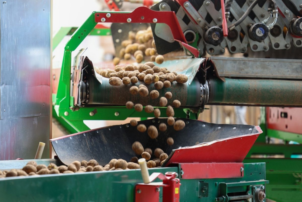 о нас пишут