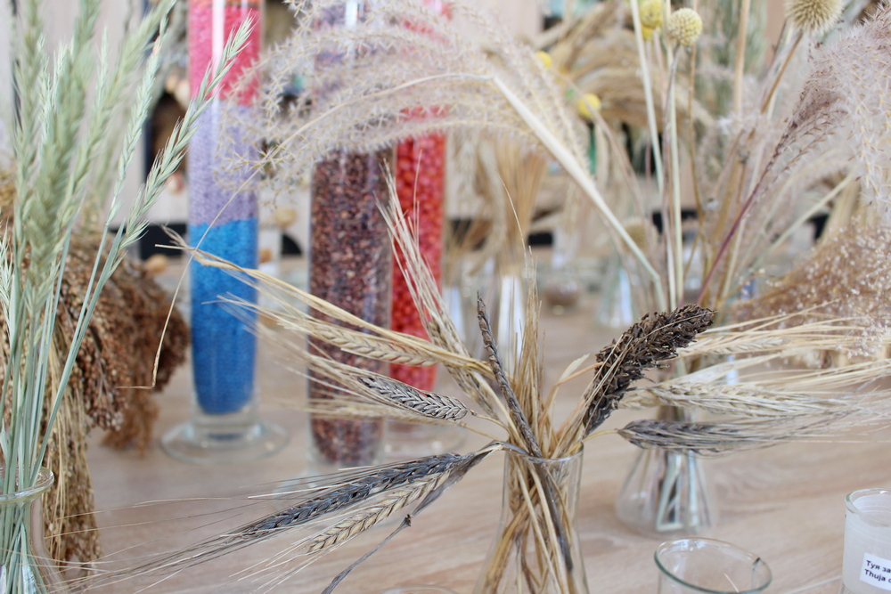 Генетические ресурсы