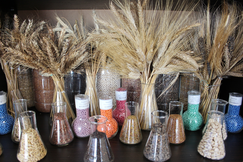 Генетические ресурсы