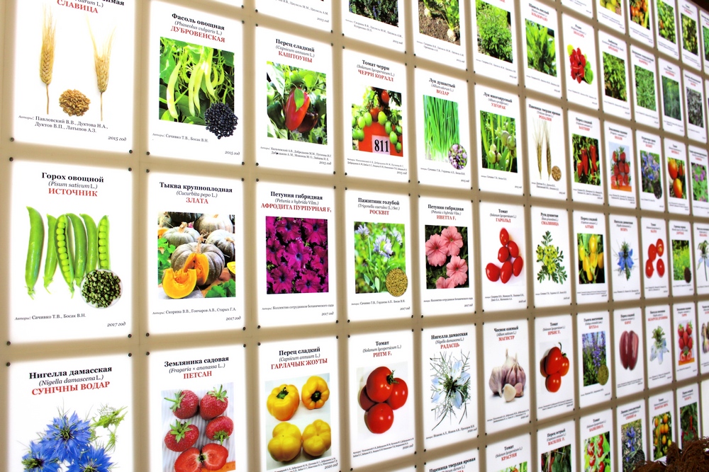 Генетические ресурсы