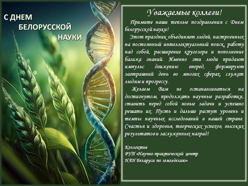 Поздравление