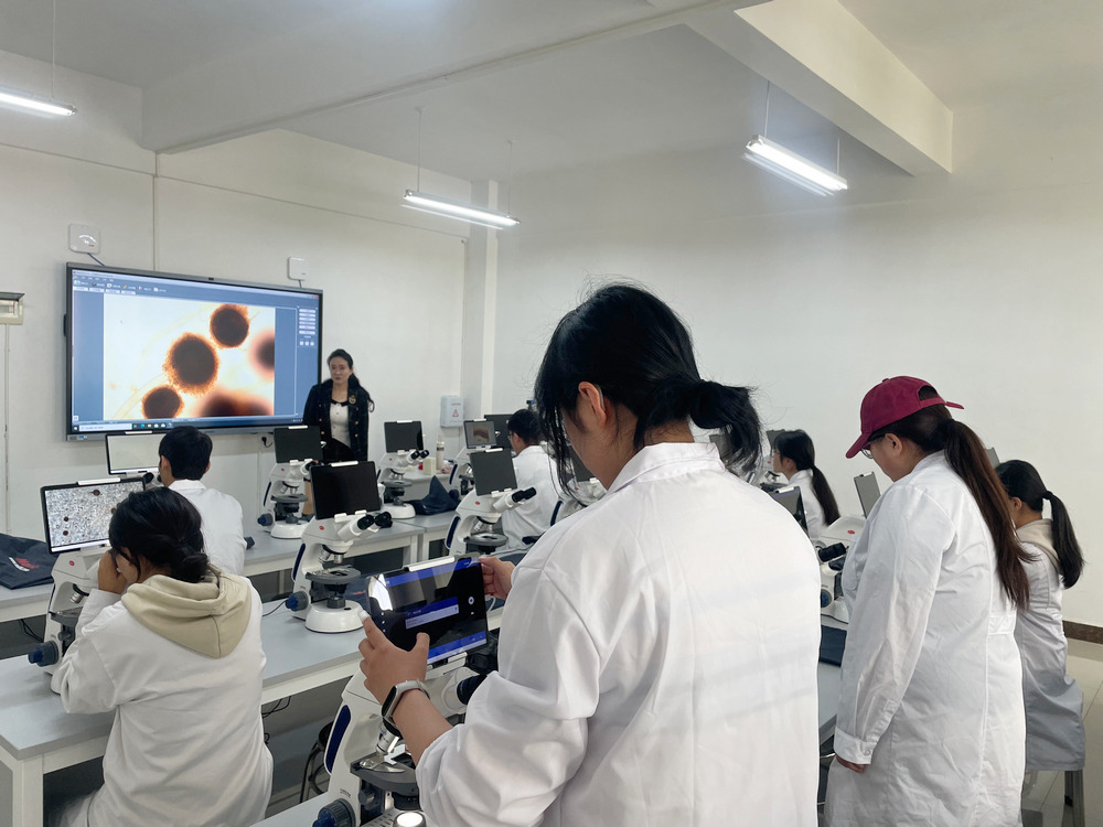 Академический обмен