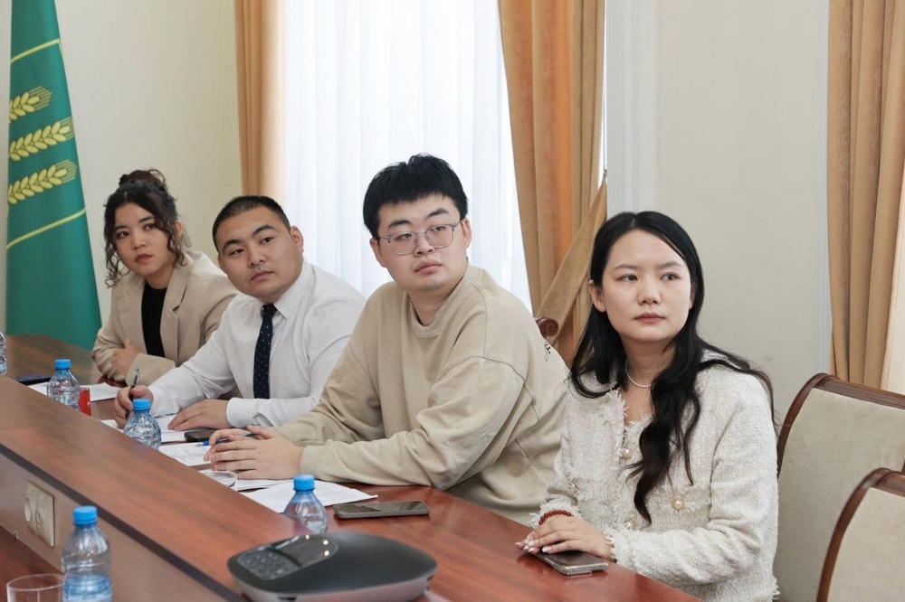 Сотрудничество