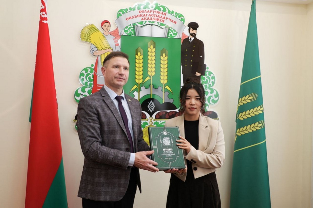 Сотрудничество