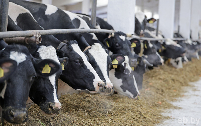 о нас пишут