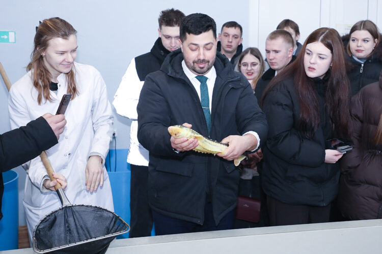 О нас пишут