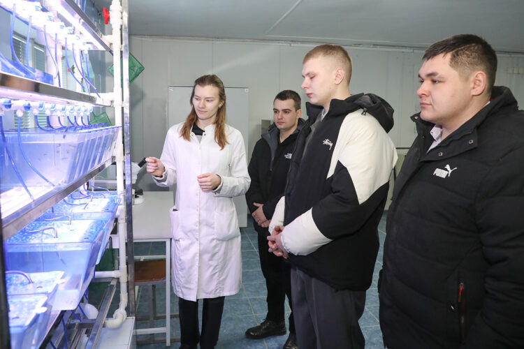 О нас пишут