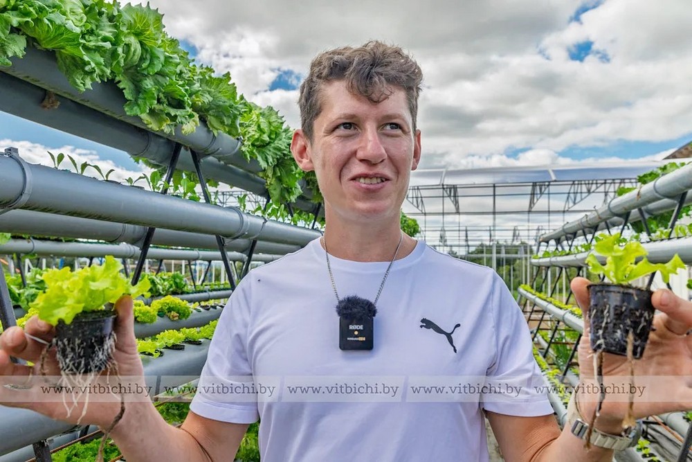 О нас пишут