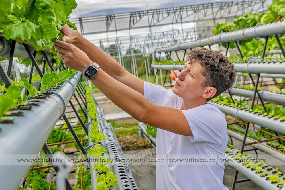 О нас пишут