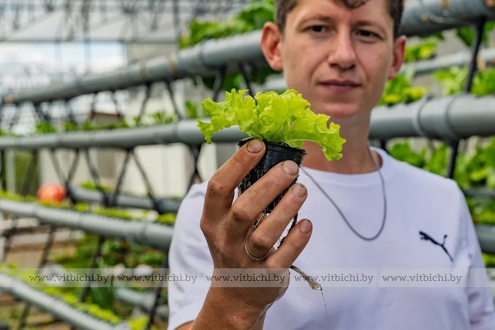 О нас пишут