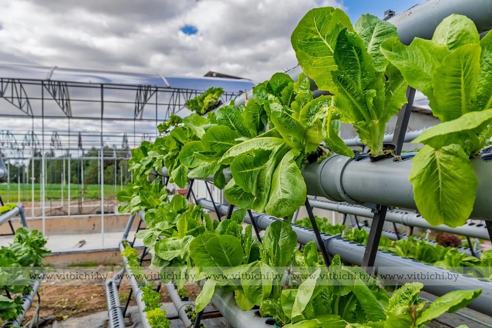 О нас пишут