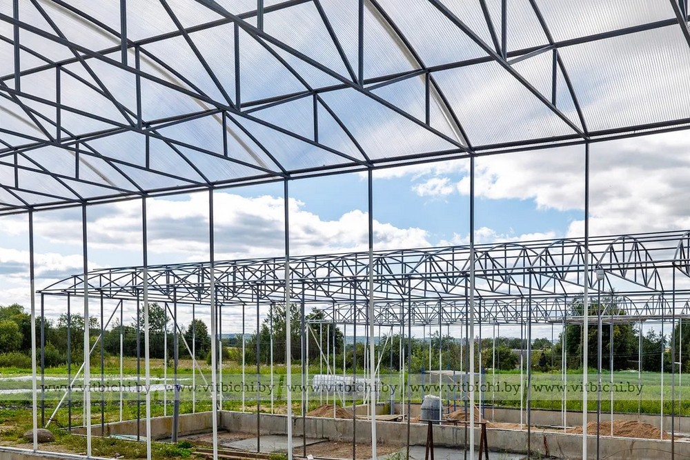 О нас пишут