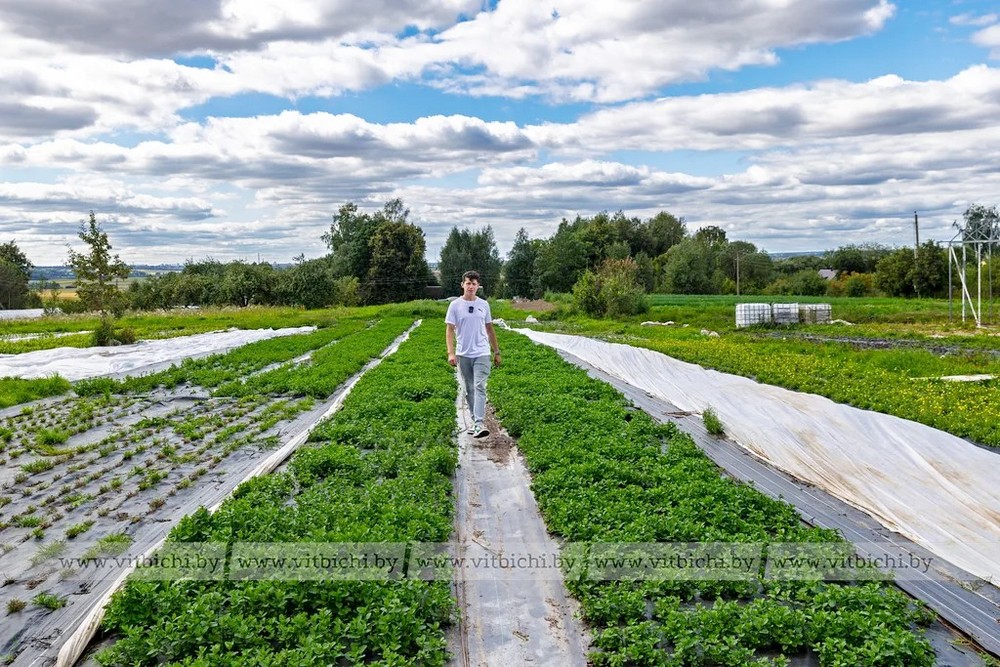 О нас пишут