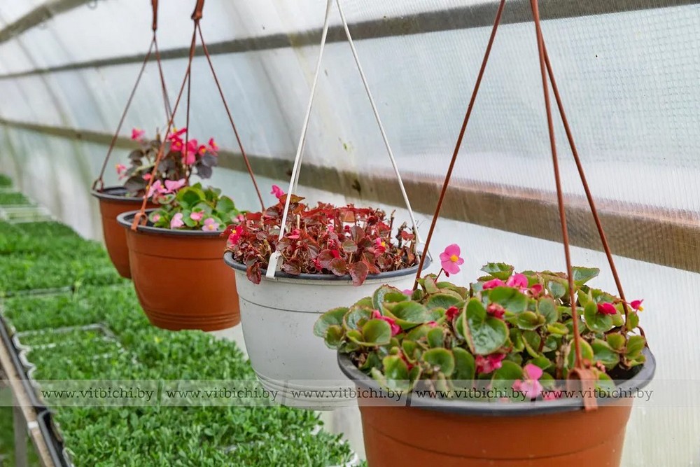 О нас пишут