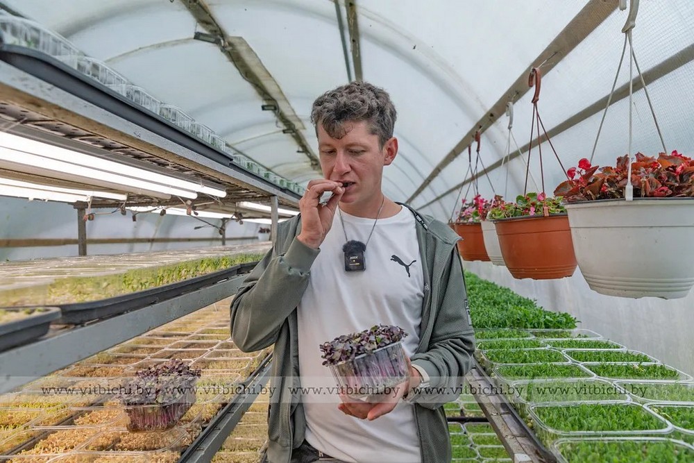 О нас пишут