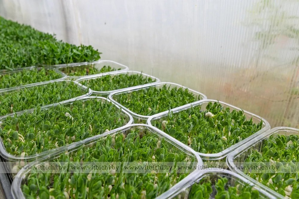 О нас пишут