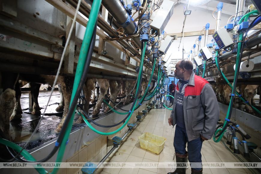 О нас пишут