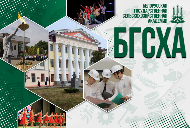 Поздравление